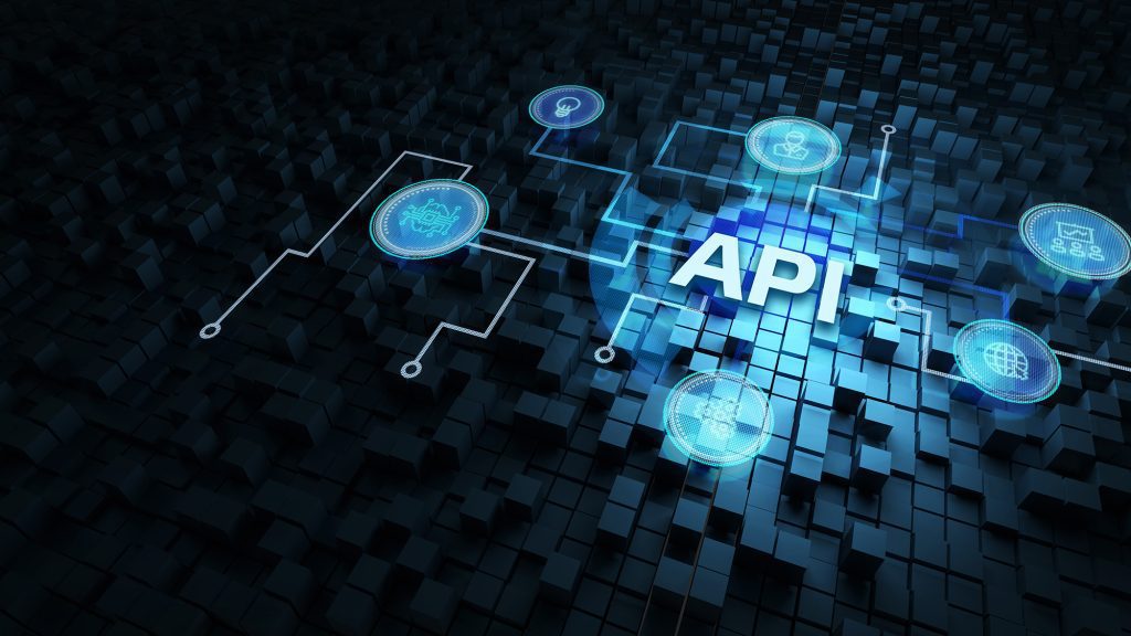 API Developer
