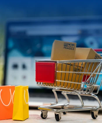 Migrating from On-Premise ERP to NetSuite to Overcome Growth Barriers for a European Manufacturer